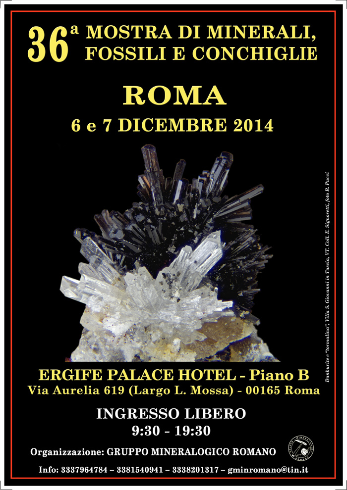 36 Mostra di Minerali, Fossili e Conchiglie ERGIFE (Roma)